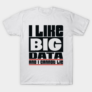 I like big data and I cannot lie T-Shirt